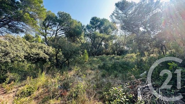 terrain à vendre - 2117.0 m2 - CAVAILLON - 84 - PROVENCE-ALPES-COTE-D-AZUR - Century 21 Coeur De Provence