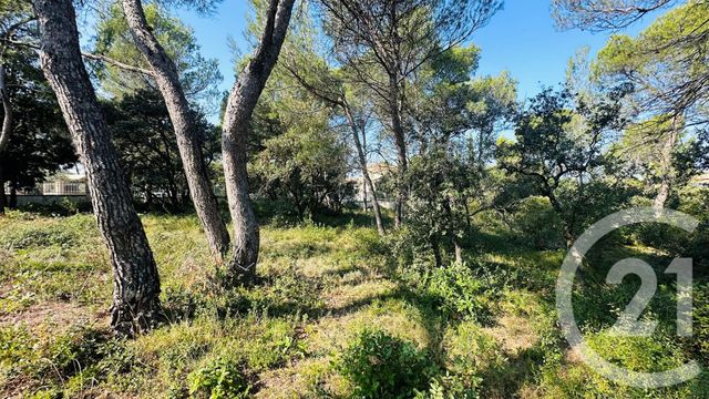 terrain à vendre - 2117.0 m2 - CAVAILLON - 84 - PROVENCE-ALPES-COTE-D-AZUR - Century 21 Coeur De Provence